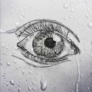 Meet your Posher, Ernesto